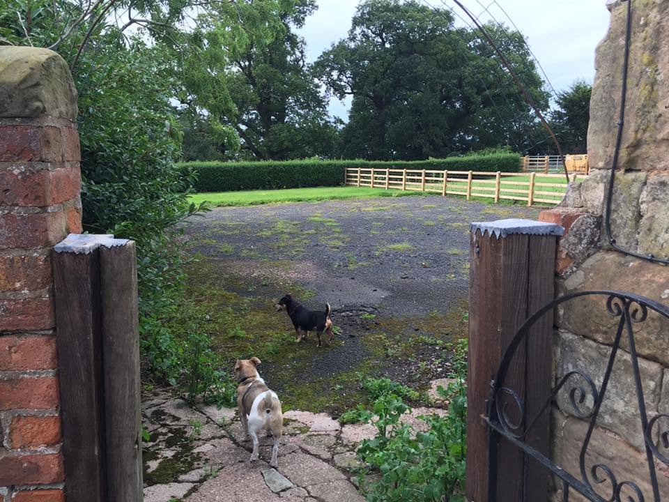 Before landscaping, mossy broken tarmac driveway seen through the stone and brick gate piers of the listed farmhouse
